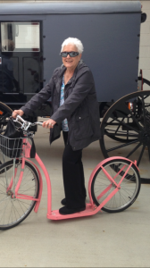 Model A Club of the Modesto Area - Sheltering in Place